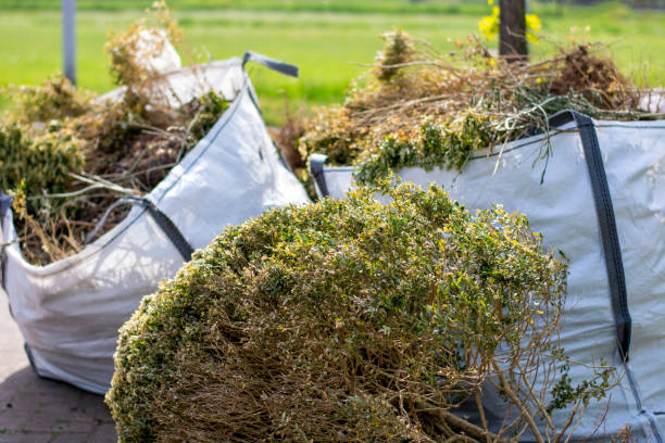 Best Construction Debris Removal  in Bensenvle, IL